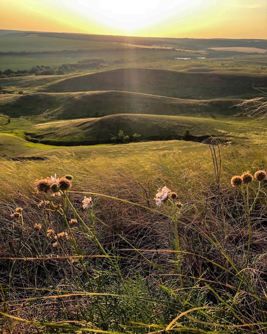 Гора Лысая